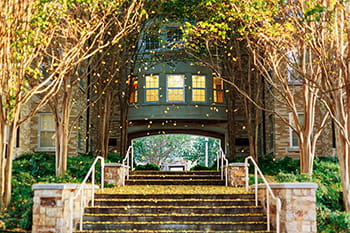 Yellow leaves in front of Pete Wright/Tom Brown residence hall