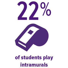 22% of students do intramurals
