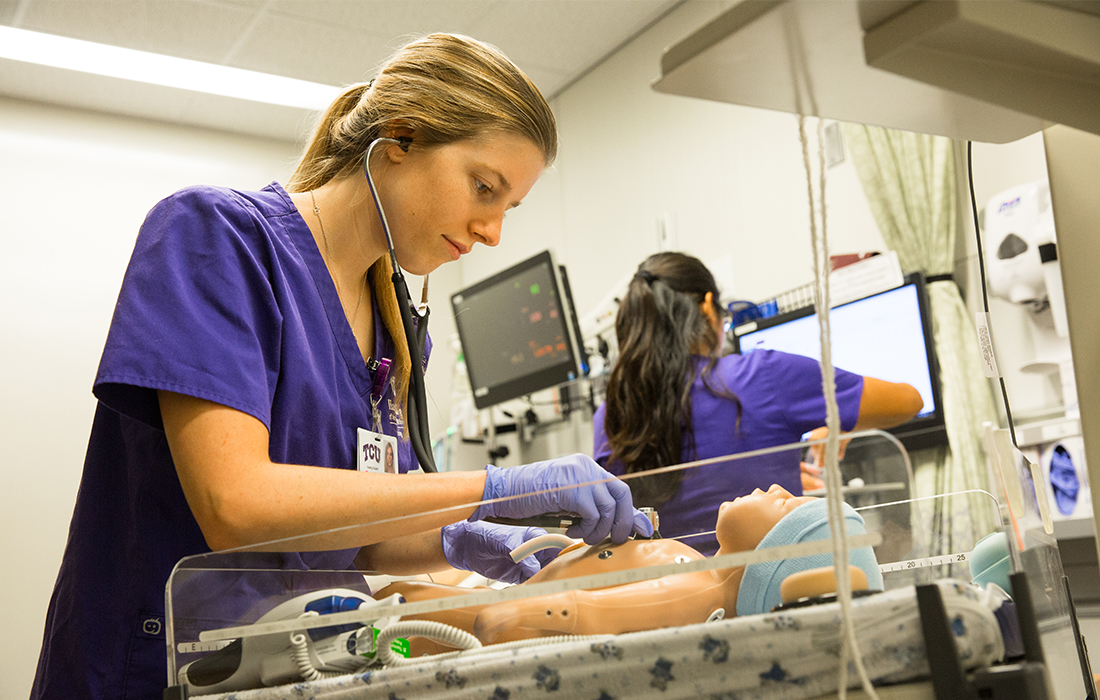 Nursing Overview, Academic Majors & Programs