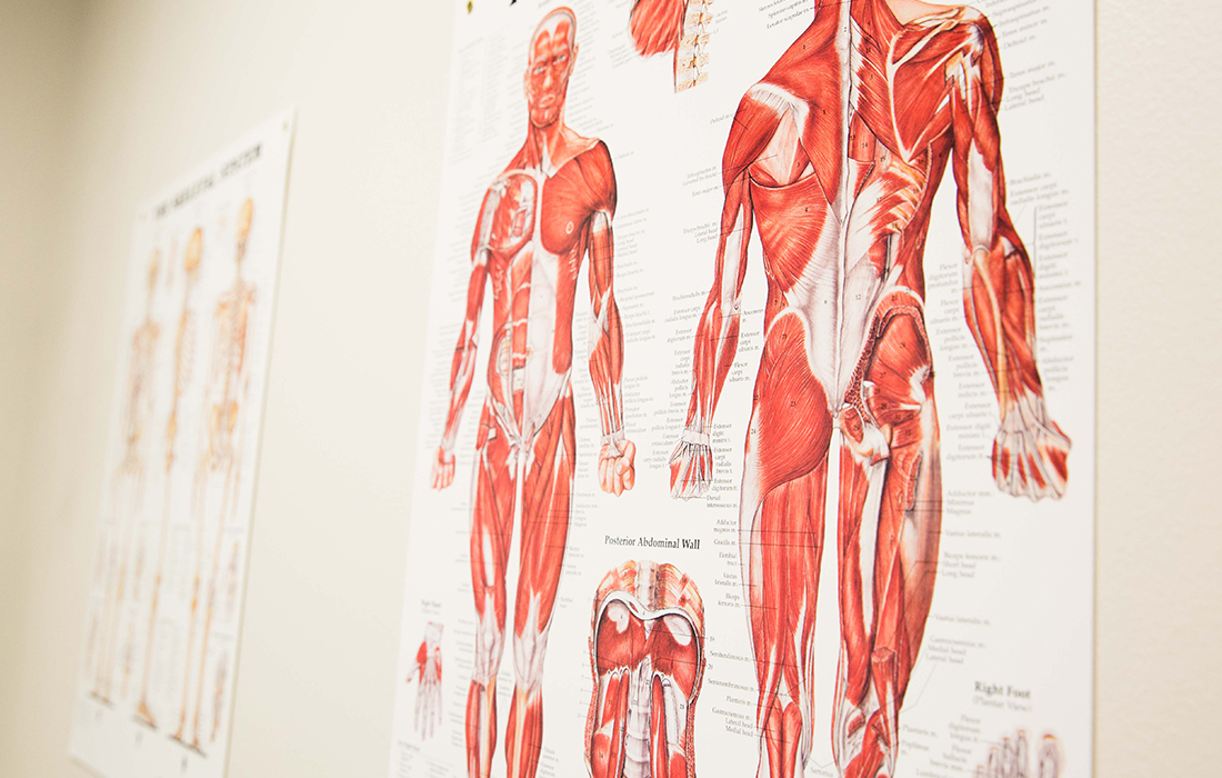Movement Science Overview Academic Majors Programs Texas 