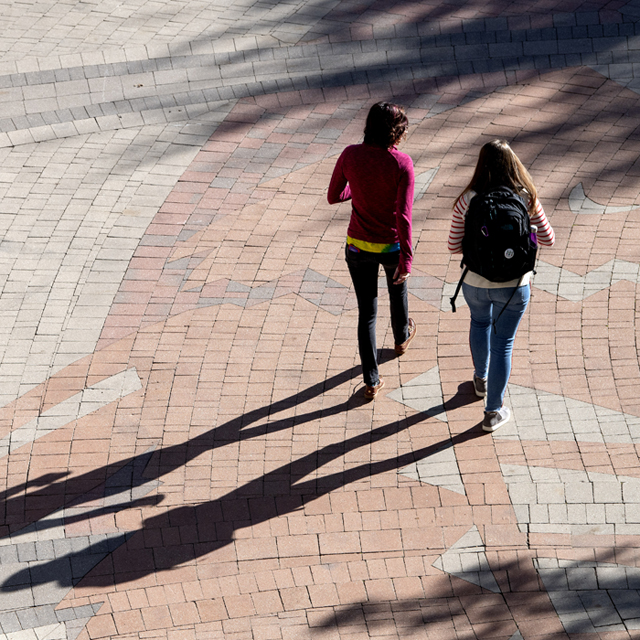 Two female students cast a long shadow on the commons