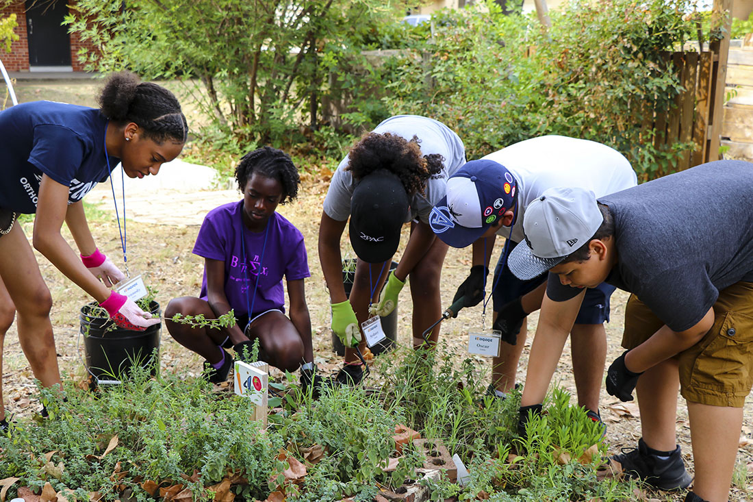 Youth Advocacy and Educational Studies