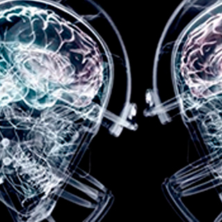 Centers & Institutes X-ray image of two butting heads in football helmets