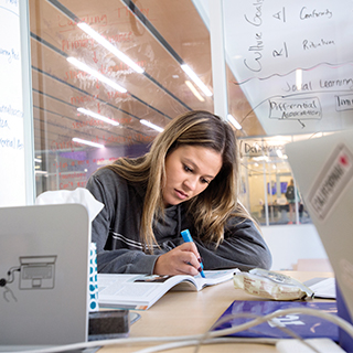 School of Interdisciplinary Studies A female student sits at a desk, highlighting important information in a text book