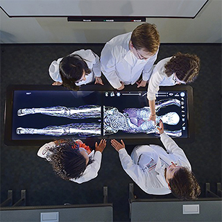 TCU & UNTHSC School of Medicine As seen from overhead, medical students lean over a life size x-ray of the human body