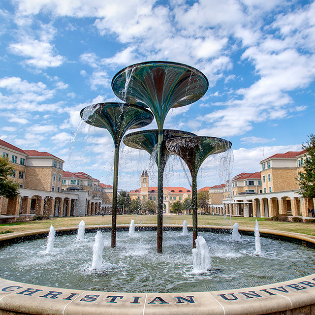 Frog fountain