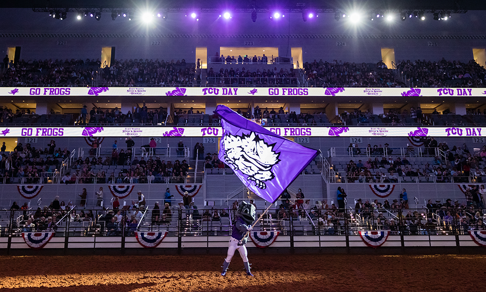 super frog standing in an arena waving a horned frog flag