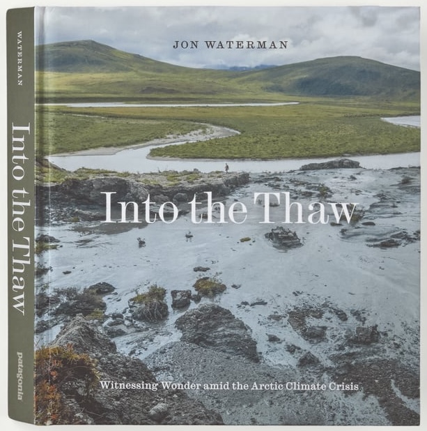 Into the Thaw cover