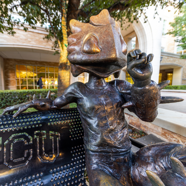 SuperFrog bench