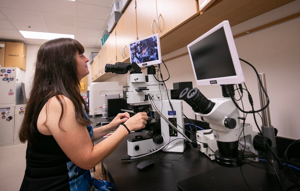 Following NASA Grant, TCU Researcher Explains Planetary Defense