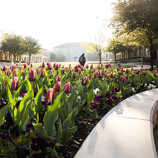 Photo of student walking 