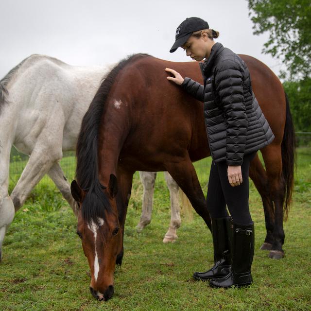 Equine therapy