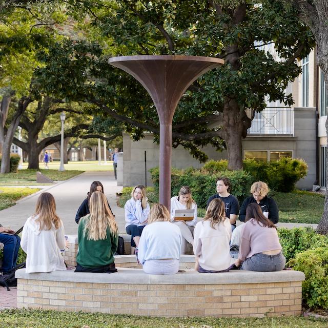 community of students