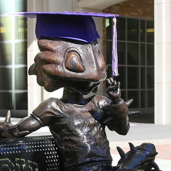 SuperFrog with mortarboard