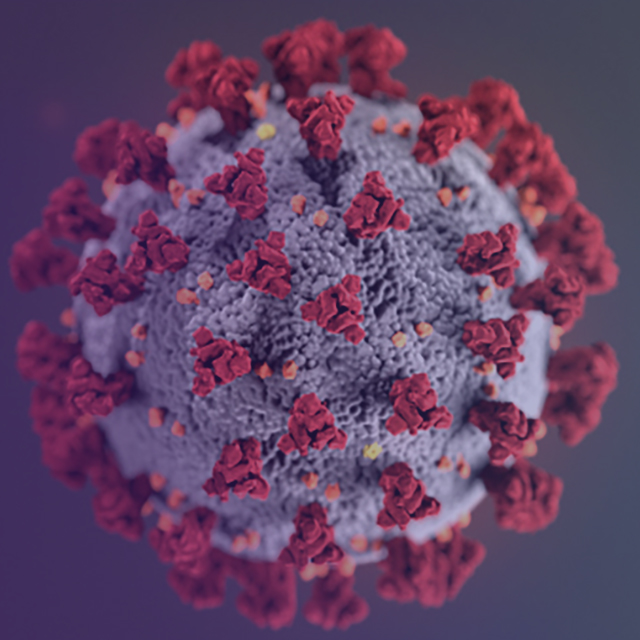Microscopic image of the coronavirus that causes COVID-19