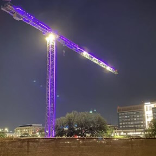 purple crane