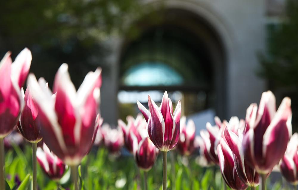 TCU Revises Spring Calendar, Extends COVID19 Tuition Assistance