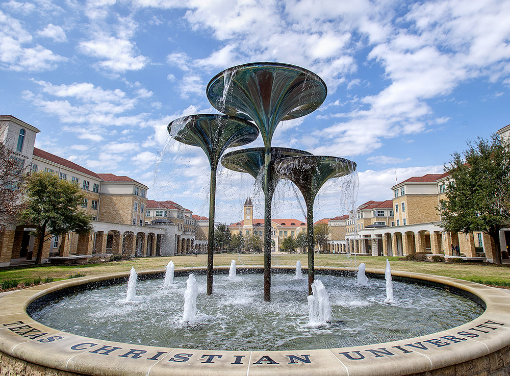 Frog Fountain