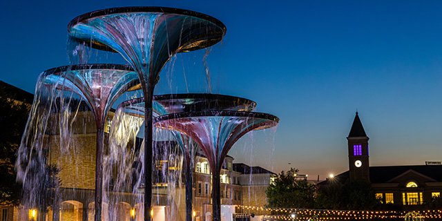 TCU Frog Fountain at night