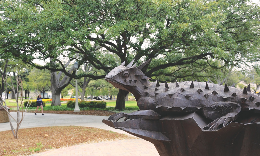 Frog Statue Frog Statue